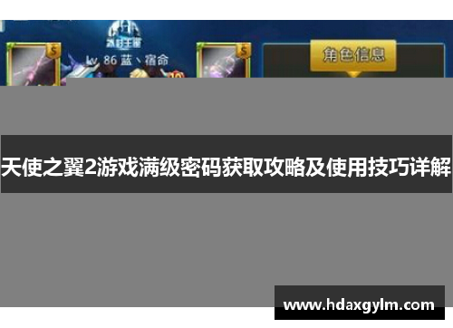 天使之翼2游戏满级密码获取攻略及使用技巧详解 天使之翼2游戏满级密码获取攻略及使用技巧详解