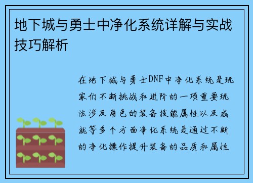 地下城与勇士中净化系统详解与实战技巧解析 地下城与勇士中净化系统详解与实战技巧解析